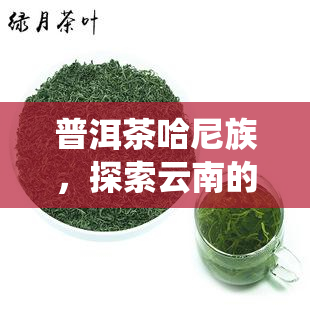 普洱茶哈尼族，探索云南的茶文化：深入了解普洱茶和哈尼族的传统