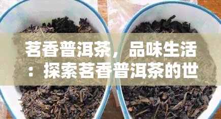 茗香普洱茶，品味生活：探索茗香普洱茶的世界