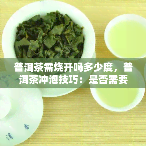 普洱茶需烧开吗多少度，普洱茶冲泡技巧：是否需要烧开？应保持多少度水？