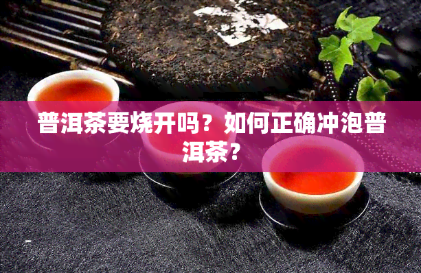 普洱茶要烧开吗？如何正确冲泡普洱茶？