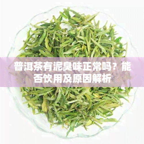 普洱茶有泥臭味正常吗？能否饮用及原因解析