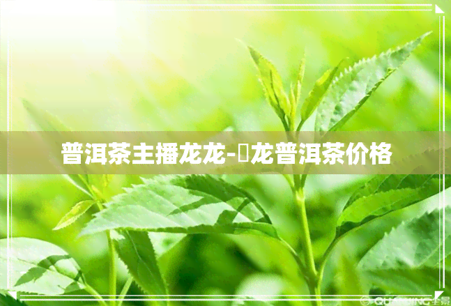 普洱茶主播龙龙-犇龙普洱茶价格