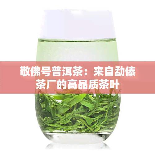 敬佛号普洱茶：来自勐傣茶厂的高品质茶叶