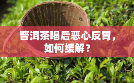 普洱茶喝后恶心反胃，如何缓解？