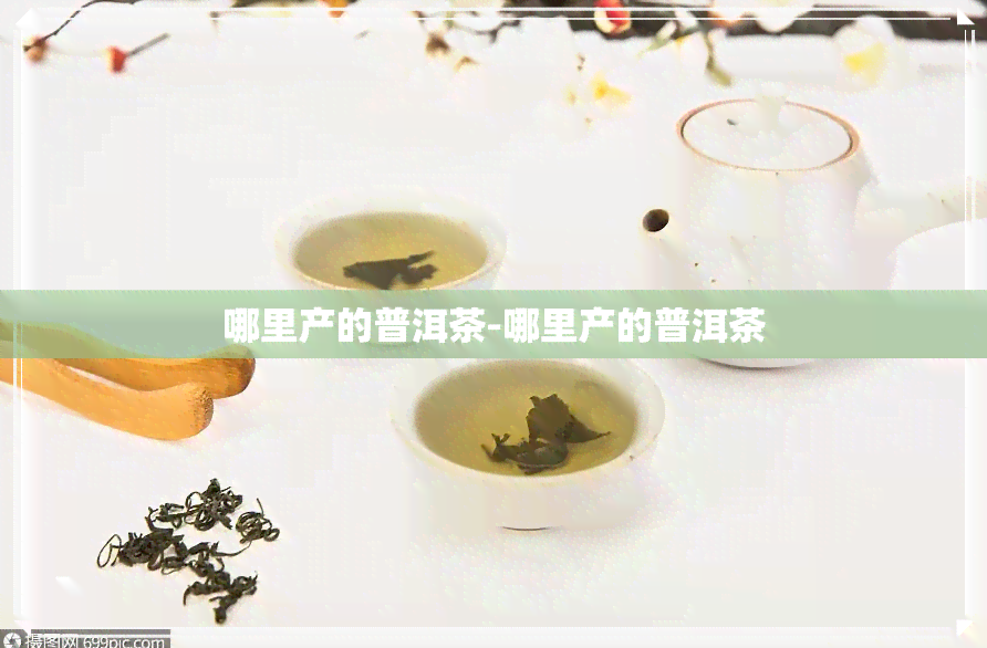 哪里产的普洱茶-哪里产的普洱茶