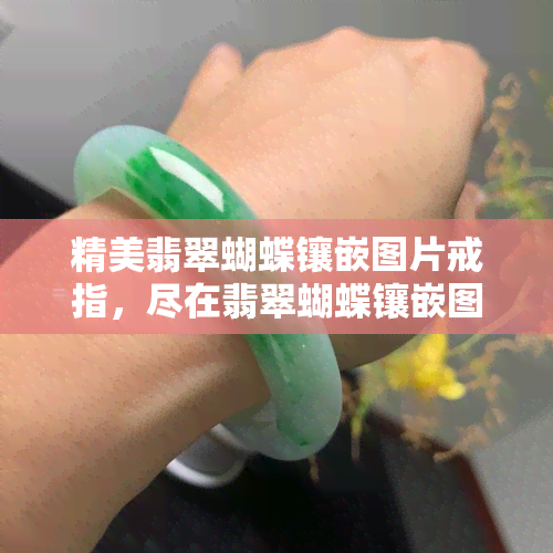 精美翡翠蝴蝶镶嵌图片戒指，尽在翡翠蝴蝶镶嵌图片戒指专题