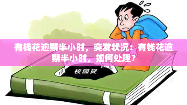 有钱花逾期半小时，突发状况：有钱花逾期半小时，如何处理？