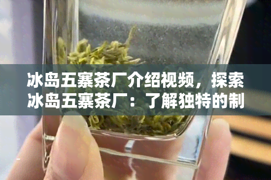 冰岛五寨茶厂介绍视频，探索冰岛五寨茶厂：了解独特的制茶工艺与美味的茶叶