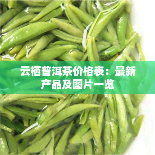 云栖普洱茶价格表：最新产品及图片一览