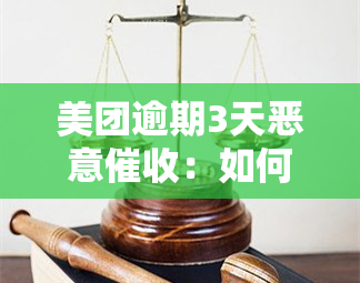 美团逾期3天恶意：如何有效投诉？