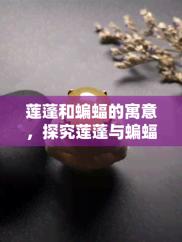 莲蓬和蝙蝠的寓意，探究莲蓬与蝙蝠的象征意义：一种跨文化的解读