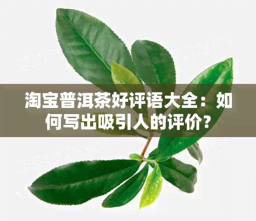 淘宝普洱茶好评语大全：如何写出吸引人的评价？