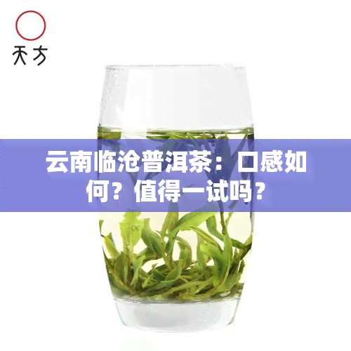 云南临沧普洱茶：口感如何？值得一试吗？