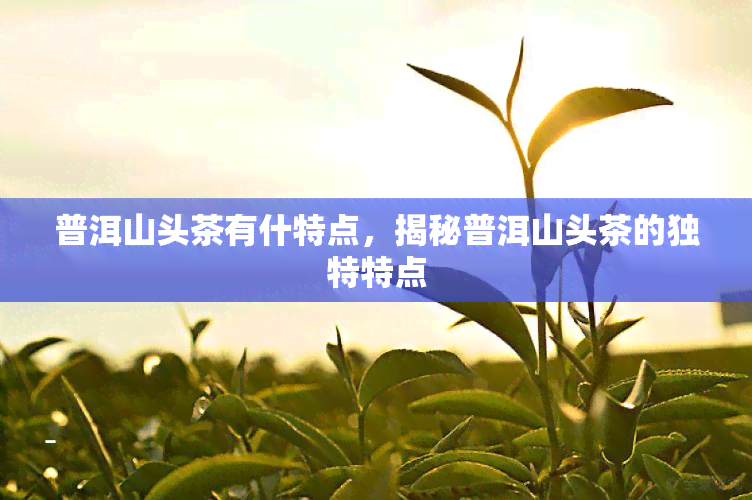 普洱山头茶有什特点，揭秘普洱山头茶的独特特点