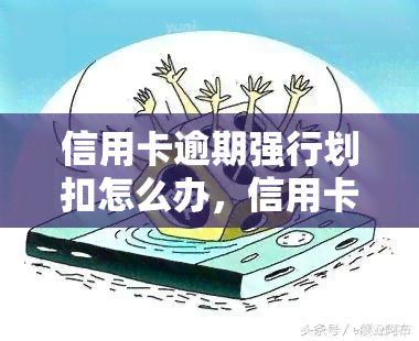 信用卡逾期强行划扣怎么办，信用卡逾期强制扣款处理方法