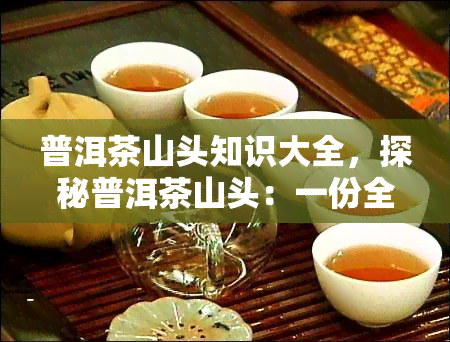 普洱茶山头知识大全，探秘普洱茶山头：一份全面的知识大全