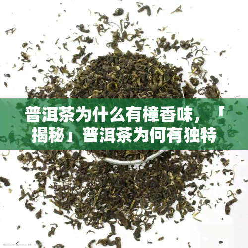 普洱茶为什么有樟香味，「揭秘」普洱茶为何有独特的樟香味？