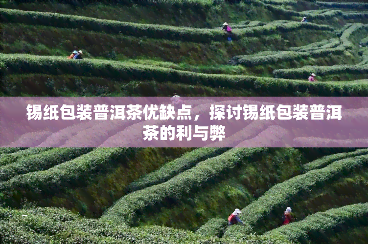 锡纸包装普洱茶优缺点，探讨锡纸包装普洱茶的利与弊