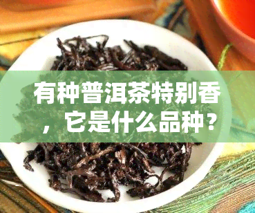 有种普洱茶特别香，它是什么品种？