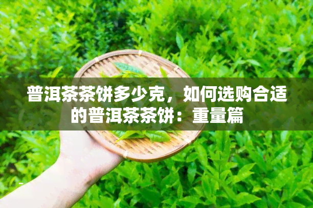 普洱茶茶饼多少克，如何选购合适的普洱茶茶饼：重量篇