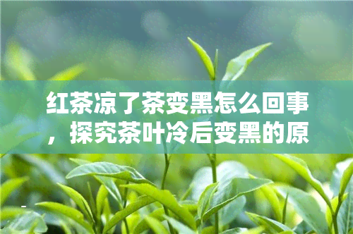 红茶凉了茶变黑怎么回事，探究茶叶冷后变黑的原因：红茶为何在冷却后颜色会改变？