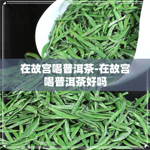 在故宫喝普洱茶-在故宫喝普洱茶好吗