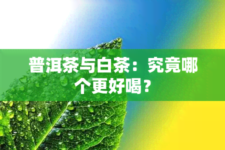 普洱茶与白茶:究竟哪个更好喝?