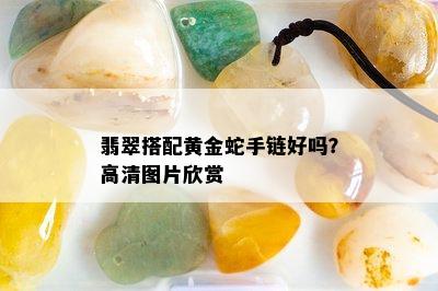 翡翠搭配黄金蛇手链好吗？高清图片欣赏