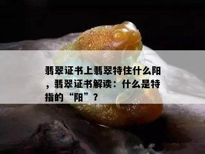 翡翠证书上翡翠特住什么阳，翡翠证书解读：什么是特指的“阳”？