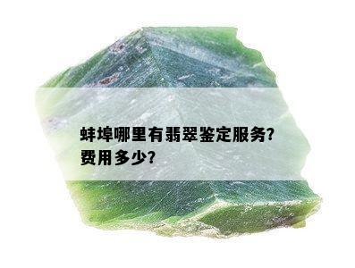 蚌埠哪里有翡翠鉴定服务？费用多少？