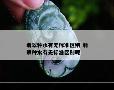 翡翠种水有无标准区别-翡翠种水有无标准区别呢