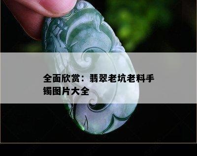 全面欣赏：翡翠老坑老料手镯图片大全