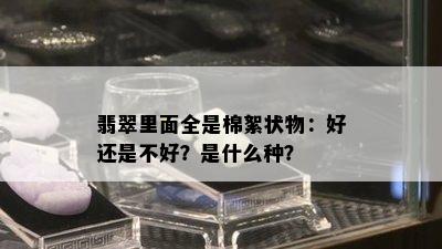 翡翠里面全是棉絮状物：好还是不好？是什么种？