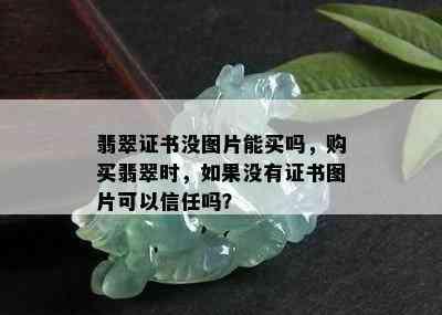 翡翠证书没图片能买吗，购买翡翠时，如果没有证书图片可以信任吗？