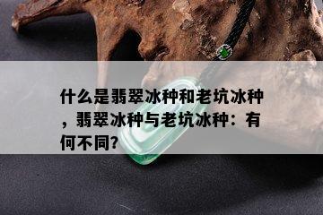 什么是翡翠冰种和老坑冰种，翡翠冰种与老坑冰种：有何不同？