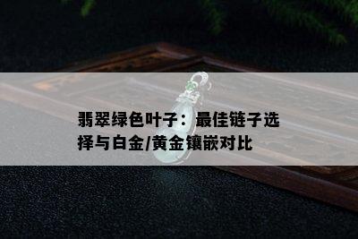 翡翠绿色叶子：更佳链子选择与白金/黄金镶嵌对比