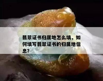 翡翠证书归属地怎么填，如何填写翡翠证书的归属地信息？