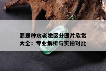 翡翠种水老嫩区分图片欣赏大全：专业解析与实拍对比