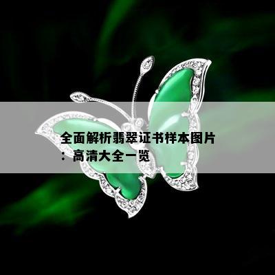 全面解析翡翠证书样本图片：高清大全一览