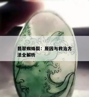 翡翠蜘蛛裂：原因与救治方法全解析