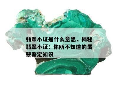 翡翠小证是什么意思，揭秘翡翠小证：你所不知道的翡翠鉴定知识