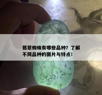 翡翠蜘蛛有哪些品种？了解不同品种的图片与特点！