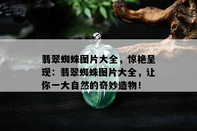 翡翠蜘蛛图片大全，惊艳呈现：翡翠蜘蛛图片大全，让你一大自然的奇妙造物！