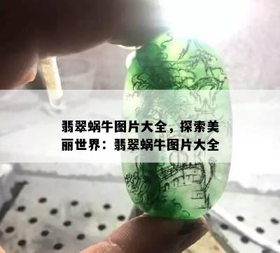 翡翠蜗牛图片大全，探索美丽世界：翡翠蜗牛图片大全