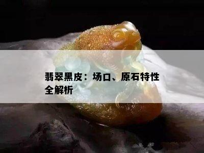 翡翠黑皮：场口、原石特性全解析