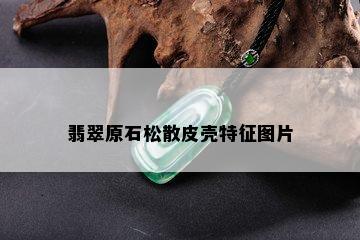 翡翠原石松散皮壳特征图片