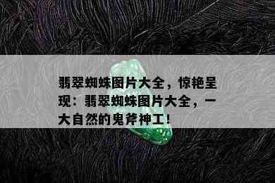 翡翠蜘蛛图片大全，惊艳呈现：翡翠蜘蛛图片大全，一大自然的鬼斧神工！