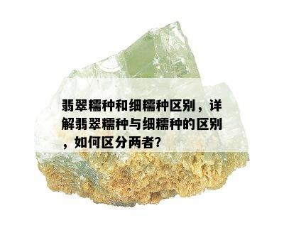 翡翠糯种和细糯种区别，详解翡翠糯种与细糯种的区别，如何区分两者？