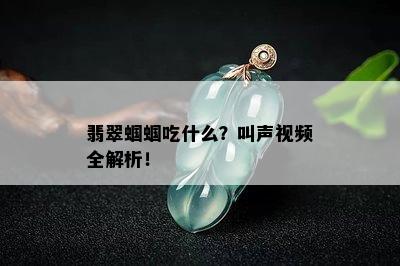 翡翠蝈蝈吃什么？叫声视频全解析！