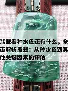 翡翠看种水色还有什么，全面解析翡翠：从种水色到其他关键因素的评估